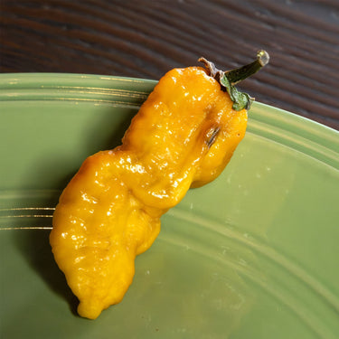 Naga Bubblegum 7 Pot Yellow Pepper Seeds - The Pepper Pantry (Formerly Marie Sharp's)